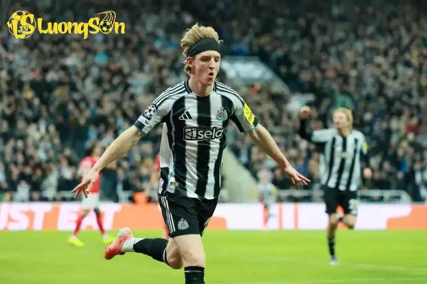 Newcastle đang có phong độ tốt tại Champions League Newcastle đang có phong độ tốt tại Champions League
